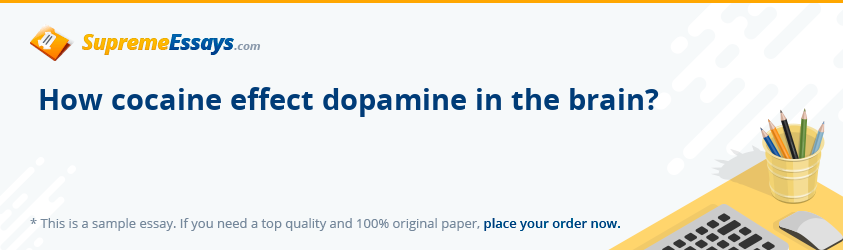 How cocaine effect dopamine in the brain?