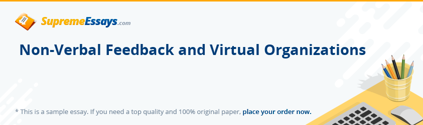 Non-Verbal Feedback and Virtual Organizations
