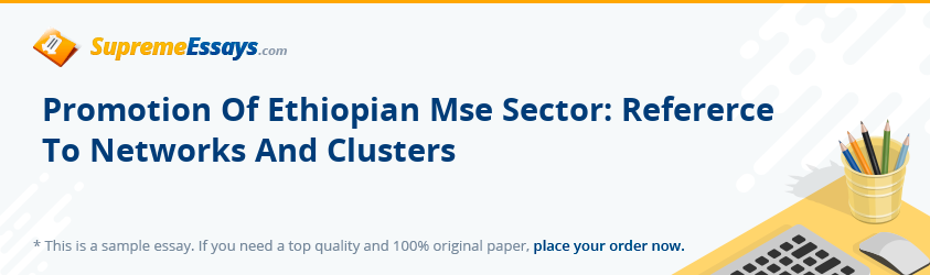Promotion Of Ethiopian Mse Sector: Refererce To Networks And Clusters
