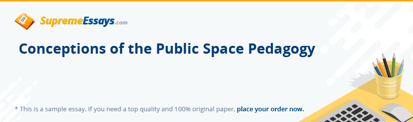 Conceptions of the Public Space Pedagogy