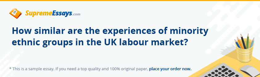 How similar are the experiences of minority ethnic groups in the UK labour market?