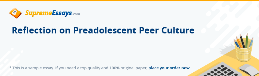 Reflection on Preadolescent Peer Culture